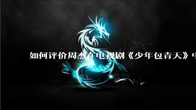 如何评价周杰在电视剧《少年包青天》中的演技？